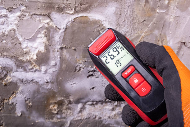 Professional Mold Removal in Santa Cruz, CA