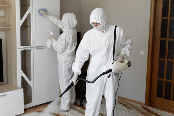 Best Mold Testing and Removal  in Santa Cruz, CA
