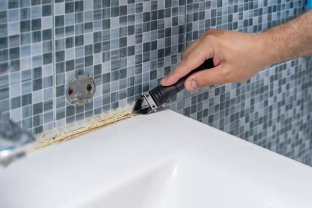 Office Mold Removal Services in Santa Cruz, CA
