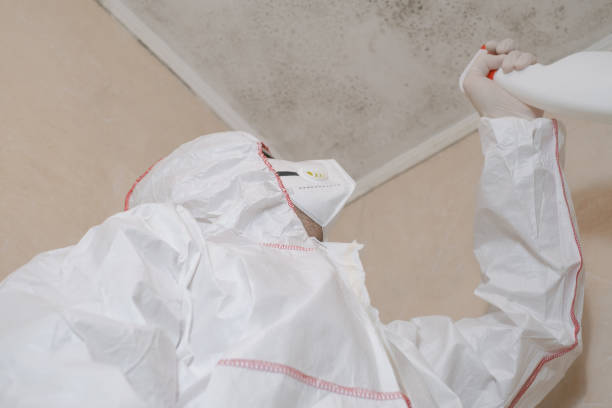 Best Residential Mold Removal  in Santa Cruz, CA