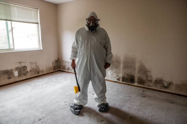 Best Local Mold Removal Service  in Santa Cruz, CA
